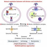 Choi Lab research figure 1